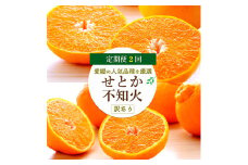 ＜発送月固定定期便＞愛媛の人気2品種を堪能!せとか・不知火食べ比べ＜訳あり＞＜D25-202＞全2回【4066443】