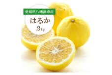 ＜2026年2月以降発送＞すっきり甘い!愛媛県八幡浜市産はるか 3kg＜C25-204＞【1612464】