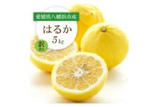 ＜2026年2月以降発送＞すっきり甘い!愛媛県八幡浜市産はるか 5kg＜訳あり＞＜C25-205＞【1612466】