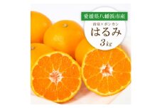 ＜2026年2月より順次発送＞愛媛県八幡浜市産 はるみ3kg＜C25-208＞【1612537】