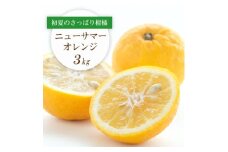 ＜2026年4月下旬頃出荷＞ワタまでおいしい ニューサマーオレンジ 3kg＜C25-212＞【1612591】