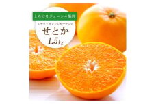 ＜2026年2月以降発送＞とろける濃厚果肉 せとか1.5kg 愛媛県八幡浜産＜C25-210＞【1612641】