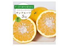 ＜2026年3月以降発送＞さっぱりみずみずしいサンフルーツ(甘夏)5kg＜訳あり＞＜C25-214＞【1612630】