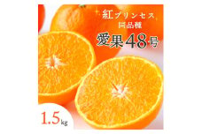 ＜2026年発送＞甘平×まどんな「紅プリンセス」と同品種!愛媛果試48号1.5kg＜C25-211＞【1612661】