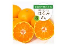 ＜2026年2月より順次発送＞愛媛県八幡浜市産 はるみ5kg＜訳あり＞＜C25-209＞【1612666】