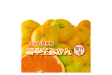 みさき果樹園の極早生みかん5kg＜C21-35＞【1613814】