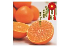 ＜12月上旬～順次発送＞紅まどんなと同品種　みさき果樹園の愛まどんな3kg＜E21-36＞【1614186】
