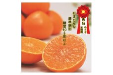 ＜12月より順次発送＞紅まどんな同品種　みさき果樹園の愛まどんな1.5kg＜D21-38＞【1614782】