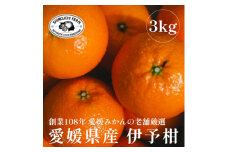 ＜創業108年＞愛媛みかんの老舗＜伊予柑 3kg＞＜C70-72＞【1615841】