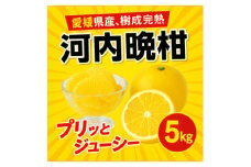 河内晩柑5kg＜訳あり＞＜A31-50＞【1613967】
