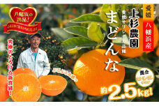 こんな柑橘はじめて!!上杉農園のぷるぷる新食感!!「まどんな」約2.5kg＜D39-67＞【1619931】