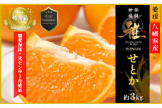極撰柑橘＜雅プレミアム＞糖度保証・光センサー合格品「 せとか 」約3キロ＜D39-69＞【1620365】