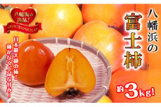 甘さにニッコリ!日本最大級の柿「富士柿」約3キロ＜C39-72＞【1620371】