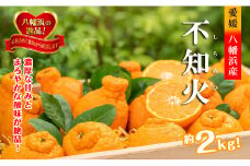 2026年2月～順次出荷　甘さと酸味の絶妙なバランス!はじける果肉「不知火」約2キロ＜B39-75＞【1620481】