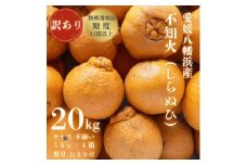 ＜糖度14.0以上酸1.4以下＞糖酸選別品 愛媛産 訳あり不知火(しらぬひ)20kg＜H20-62＞【1620231】