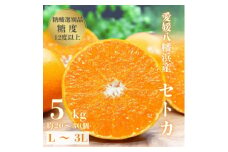 ＜みかんの大トロ＞糖度12.0以上 酸1.4以下 糖酸選別品 愛媛セトカ 5kg＜G20-65＞【1620326】
