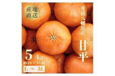 ＜愛媛が誇る 高級みかん 希少品種＞甘平 (かんぺい) 5kg＜H20-66＞【1620336】