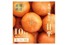＜愛媛が誇る 高級みかん 希少品種＞甘平 (かんぺい) 10kg＜H20-67＞【1620337】