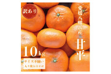 ＜愛媛が誇る 高級みかん 希少品種＞訳あり 甘平 (かんぺい) 10kg＜H20-68＞【1620339】