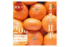 ＜愛媛が誇る 高級みかん 希少品種＞訳あり 甘平 (かんぺい) 20kg＜H20-69＞【1620340】