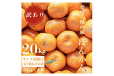 ＜南国を感じさせる独特の香り＞訳あり 愛媛ポンカン 20kg＜G20-71＞【1620343】