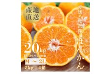 ＜南国を感じさせる独特の香り＞愛媛ポンカン 20kg＜H20-70＞【1620342】
