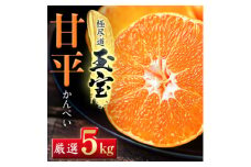 「玉宝ブランド」＜甘平＞5kg＜H64-61＞【1621001】