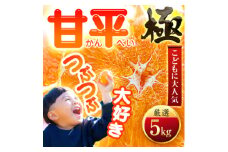＜甘みぎっっしり!＞シャキシャキ甘い♪♪＜甘平＞5kg＜H49-78＞【1621089】