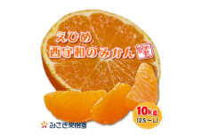 ＜訳あり君＞みさき果樹園のえひめ西宇和のみかん　10kg　2S～L混合＜D21-17＞【1455356】