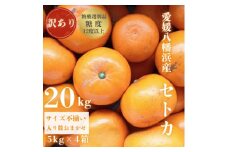 ＜みかんの大トロ＞糖度12.0以上酸1.4以下 糖酸選別品 訳あり愛媛セトカ20kg＜H20-76＞【1620330】