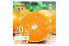 ＜みかんの大トロ＞糖度12.0以上 酸1.4以下 糖酸選別品 愛媛セトカ 20kg＜H20-78＞_ みかん ミカン 柑橘 せとか フルーツ くだもの 果物 ふるーつ 青果 果実 人気 甘い ジューシー 産直 産地直送 旬 柑橘類 人気 愛媛 果汁 八幡浜市【1620333】
