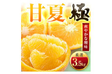 ＜太陽をたっぷり浴びた＞甘夏＜極＞3.5kg＜C49-84＞【1621796】