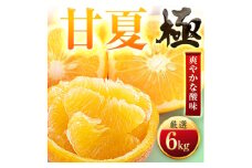 ＜太陽をたっぷり浴びた＞甘夏＜極＞6kg＜C49-85＞【1621797】