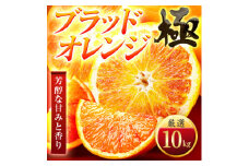 ＜太陽をたっぷり浴びた＞ブラッドオレンジ(タロッコ)＜極＞10kg＜H49-89＞【1621801】