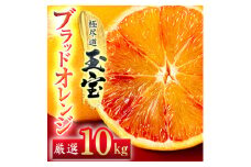 ＜愛媛名産＞玉宝ブラッドオレンジ(タロッコ)　10kg＜H64-67＞【1621809】