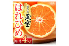 ＜愛媛名産＞玉宝はれひめ　4kg＜C64-70＞【1621812】