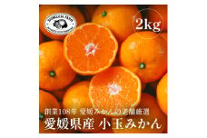 愛媛みかんの老舗厳選＜小玉 みかん2kg＞新口農園＜A70-75＞【1622614】