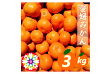 「 愛媛 みかん 」約3kg《 愛咲果樹園 》＜A71-25＞【1616827】