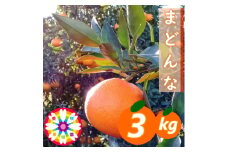 愛咲果樹園「 まどんな 」約3kg＜D71-27＞【1616835】