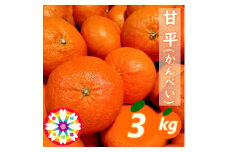愛咲果樹園 「 甘平 」約3kg＜D71-28＞【1616841】