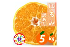 愛咲果樹園「はるみ」訳あり約5kg＜C71-30＞【1619095】