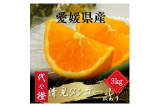 ＜トロッととろける果実＞＜訳あり＞清見タンゴール 3kg＜A83-32＞【1623456】