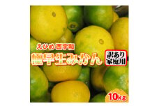 西宇和産極早生みかん訳あり10kg＜C21-39＞【1623770】