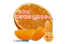 西宇和産大玉みかん2Lサイズ8kg＜C21-40＞【1623773】