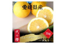 ＜初夏の味＞＜訳あり＞ニューサマーオレンジ 3kg＜A83-36＞【1623663】