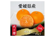 ＜最高の旨みと香りが詰まった＞代々橙せとか＜訳あり＞5kg＜E83-37＞【1623736】