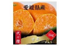 ＜濃密でシャキシャキ甘い＞代々橙甘平＜訳あり＞5kg＜E83-39＞【1623738】