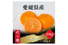 ＜最高の旨みと香りが詰まった＞代々橙せとか＜訳あり＞20kg＜H83-42＞【1623759】