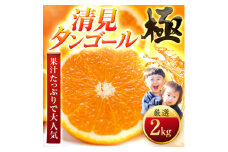 ＜太陽をたっぷり浴びた＞清見タンゴール＜極＞2kg＜A49-94＞【1623955】