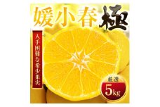 ＜太陽をたっぷり浴びた＞媛小春(ひめこはる)＜極＞5kg＜H49-100＞【1623961】